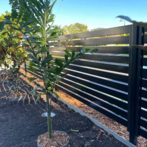 Slat Screens
